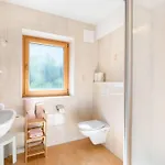 Apartment Rosa-5 By Interhome Mayrhofen